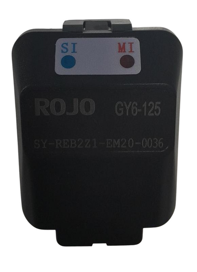 RS6 Enjeksıyon-ECU - Voltapar
