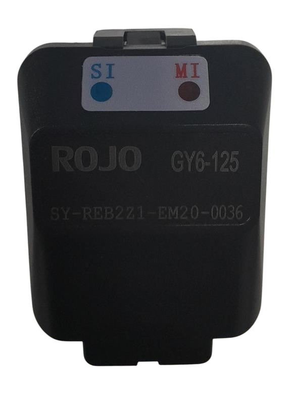 RS6 Enjeksıyon-ECU - Voltapar